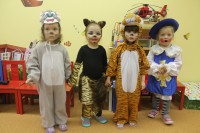 /album/fotogaleria-fotogaleria/img-7250-jpg/