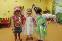 /album/fotogaleria-fotogaleria/img-7287-jpg/